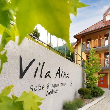 Villa Aina Boutique Hotel Laško Exteriör bild