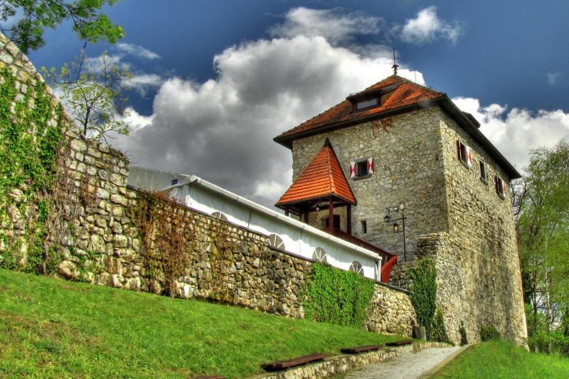 Villa Aina Boutique Hotel Laško Exteriör bild
