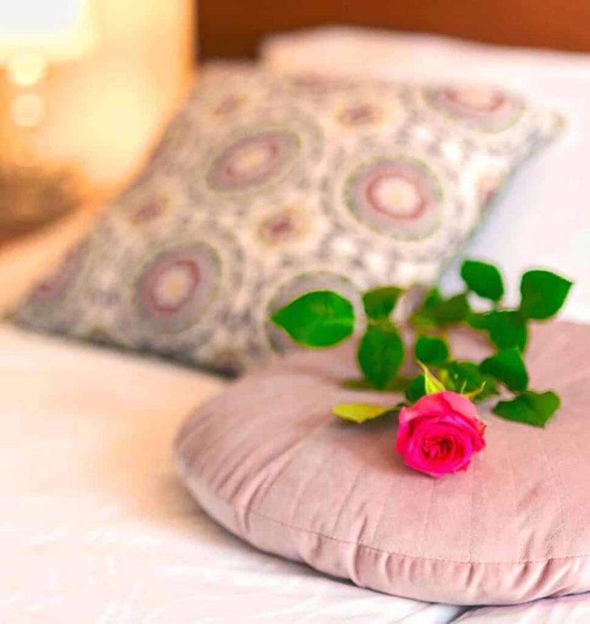 Villa Aina Boutique Hotel Laško Exteriör bild