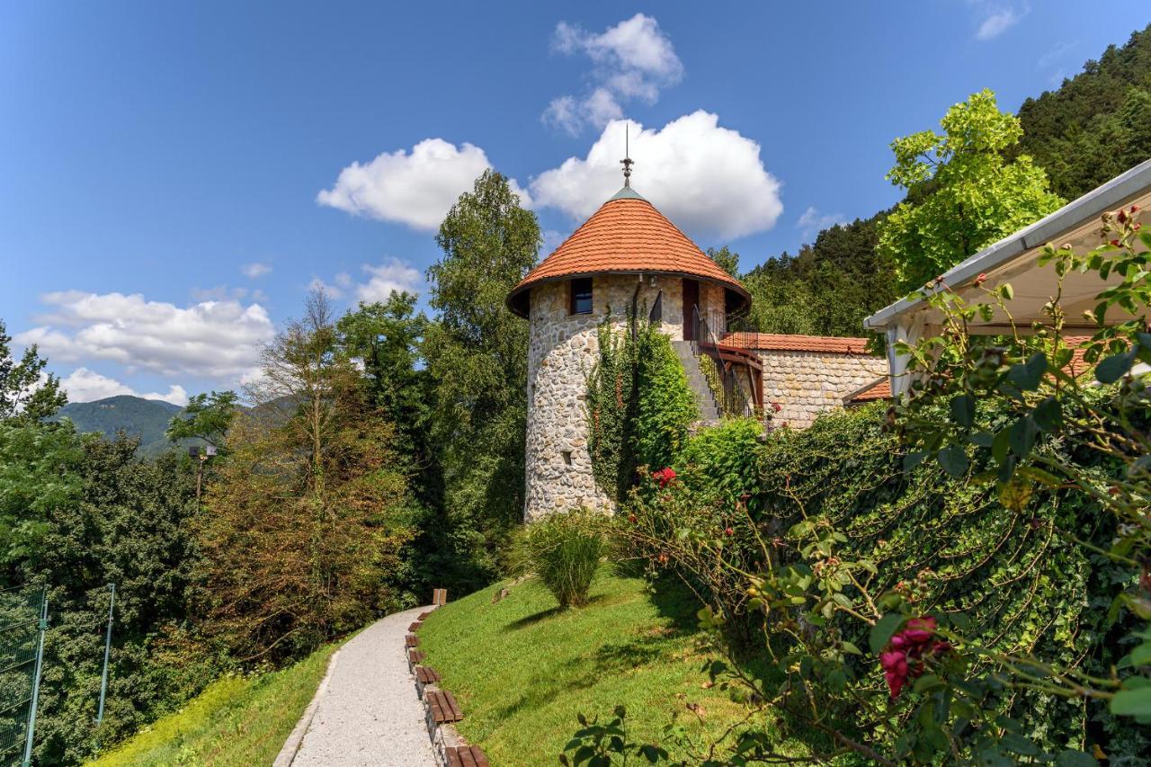 Villa Aina Boutique Hotel Laško Exteriör bild