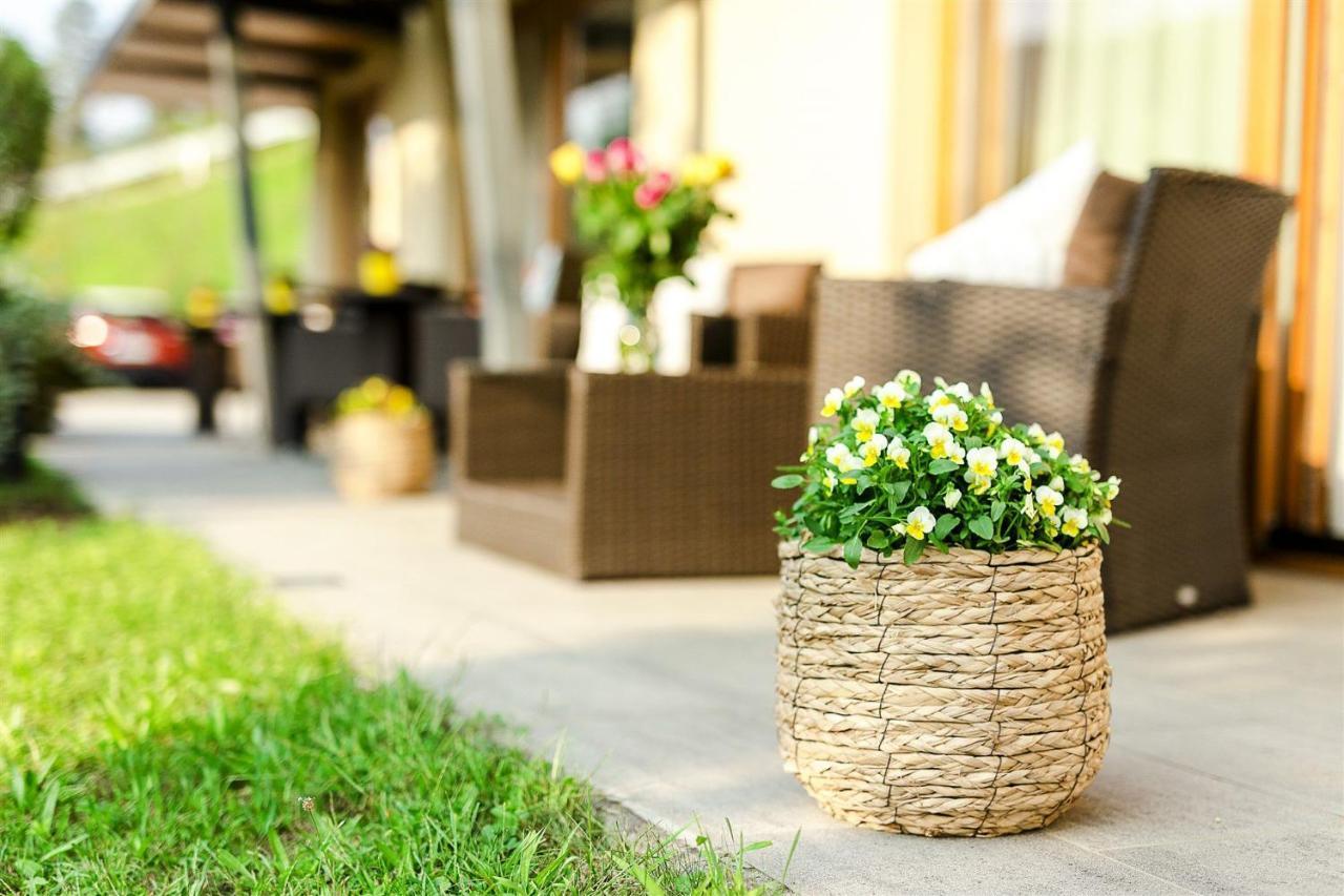 Villa Aina Boutique Hotel Laško Exteriör bild