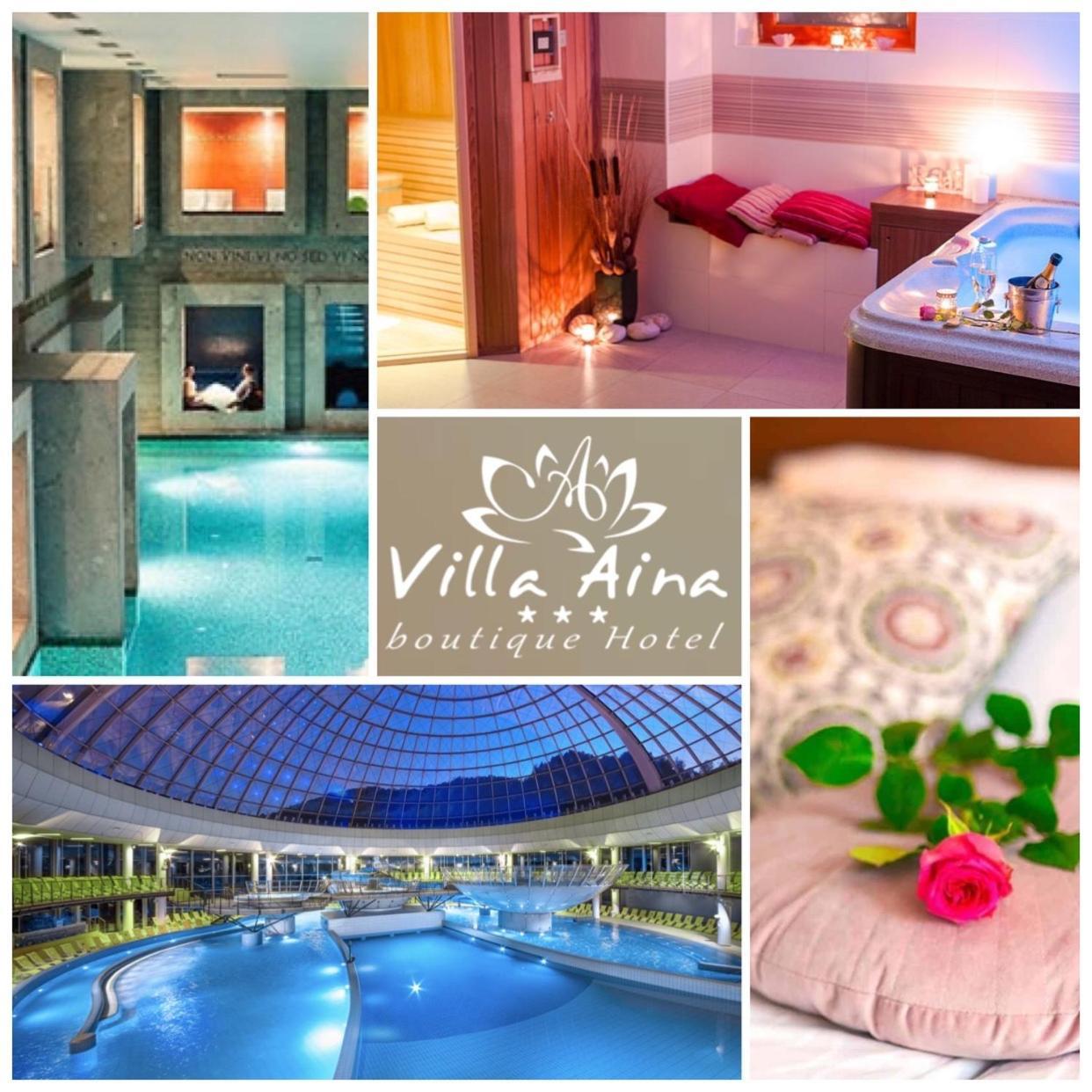 Villa Aina Boutique Hotel Laško Exteriör bild
